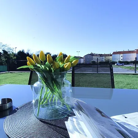 בית הארחה Frank זמברטיה