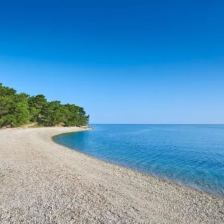 בית הארחה Frank 3*