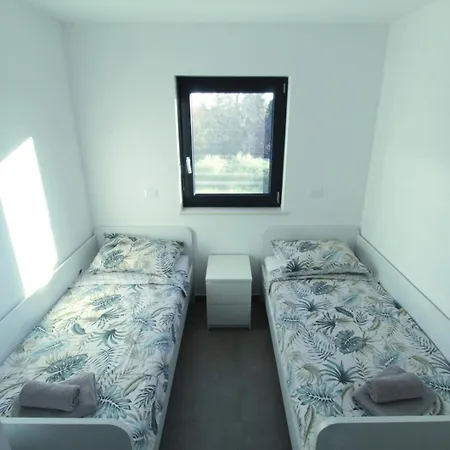 Frank זמברטיה